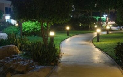 Creative Uses of Low Voltage Lighting in Garden Design